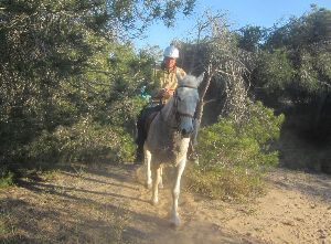 Mit dem Pferd durch Andalusien